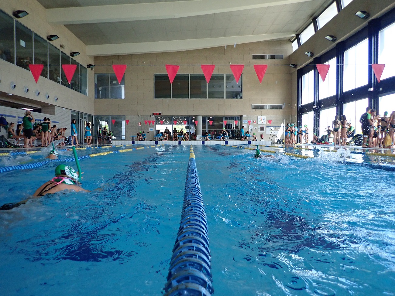 Resultados y puntuación 4ª jornada JDN de Natación con Aletas